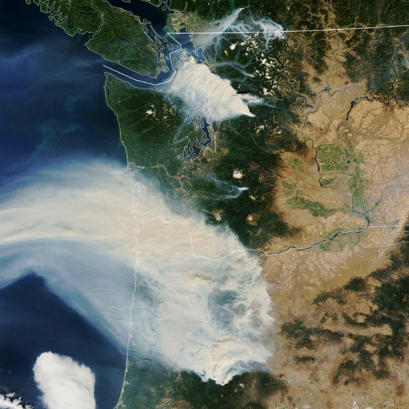 Credit: Moderate Resolution Imaging Spectroradiometer (MODIS) on NASA’s Terra satellite