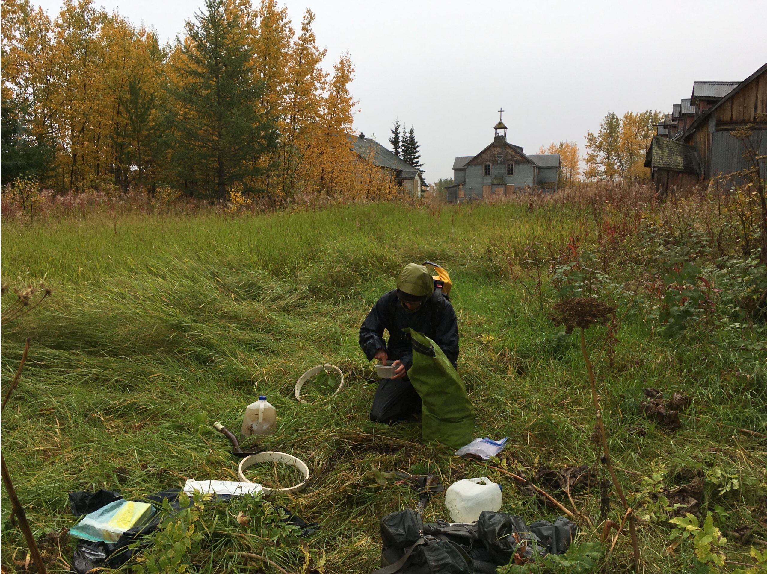 Tyler Baumann, a graduate of Yoo's lab, samples earthworms in an abandoned garden in Nome, Alaska.