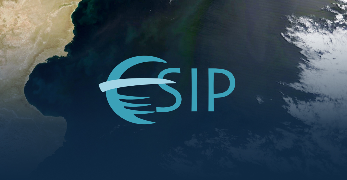 ESIP blog fallback image with logo