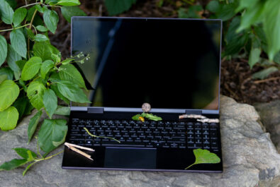 laptop against some bushes