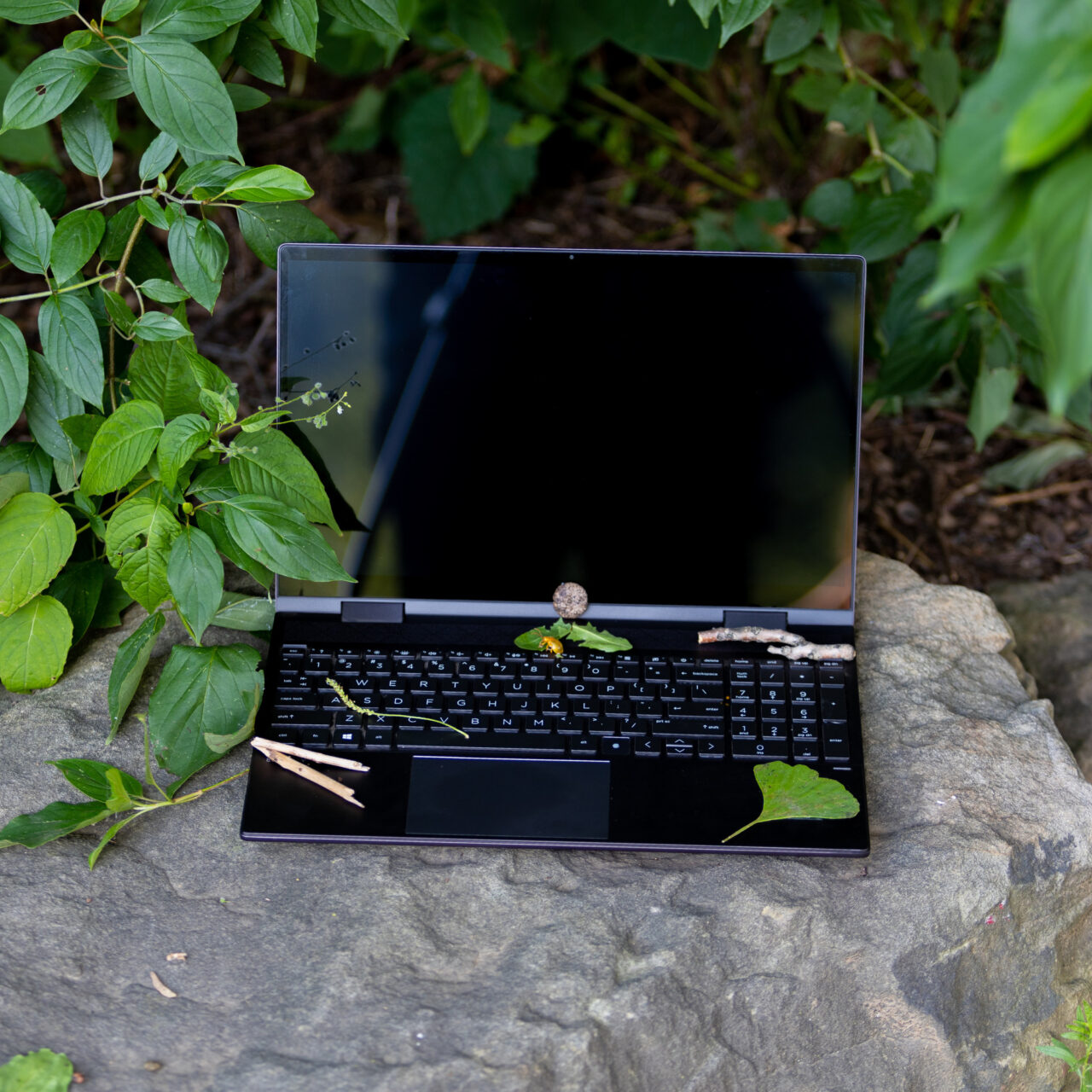 laptop against some bushes