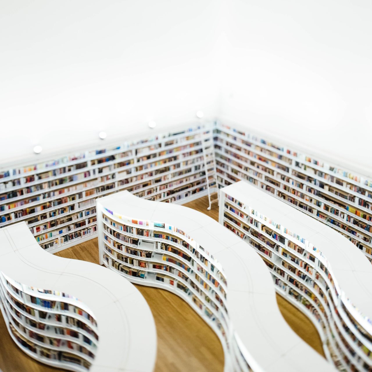 white book shelves full of books