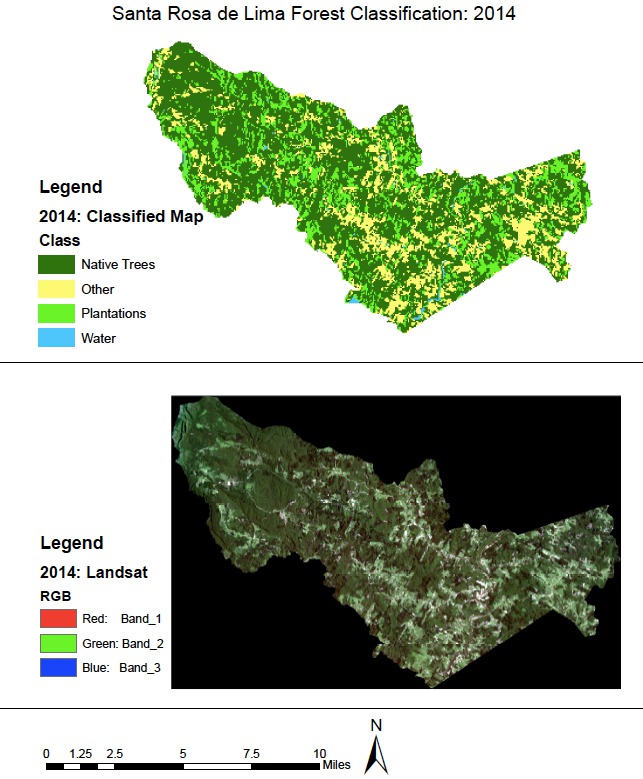 Applying remote sensing to land cover change analyses