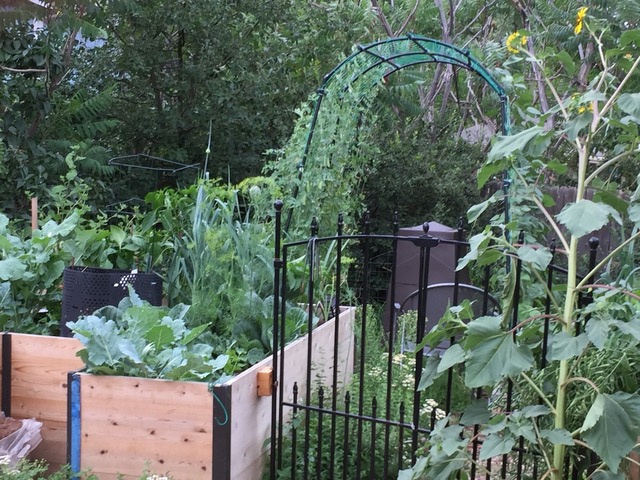 Green garden with iron wrought gateway