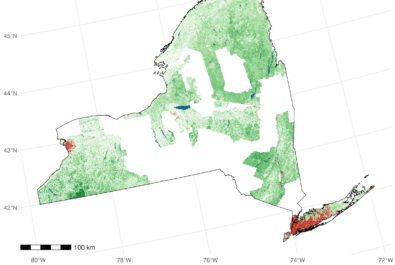 trust in ml map