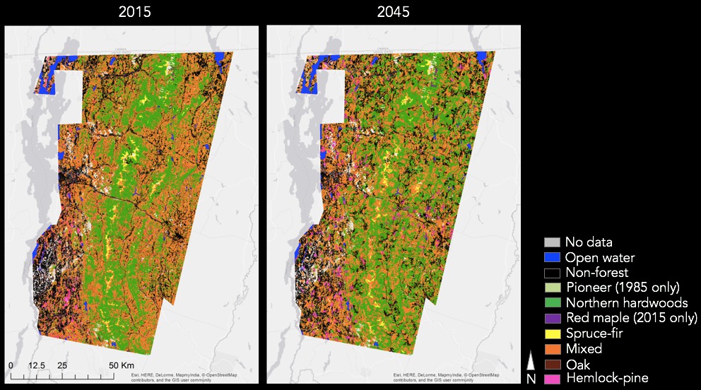 Detecting tree species with Landsat imagery