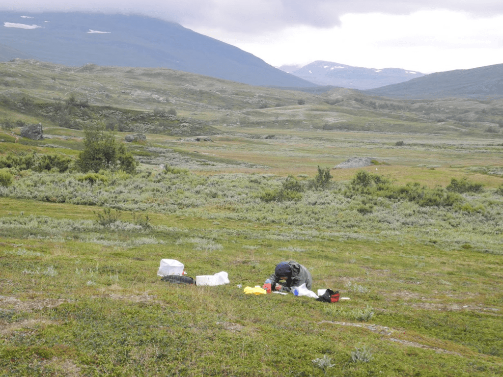 Padjelanta National Park Sweden