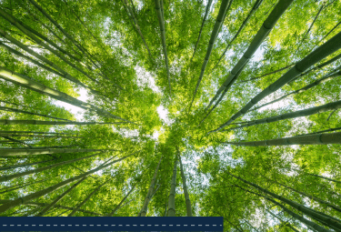 ESIP featured image