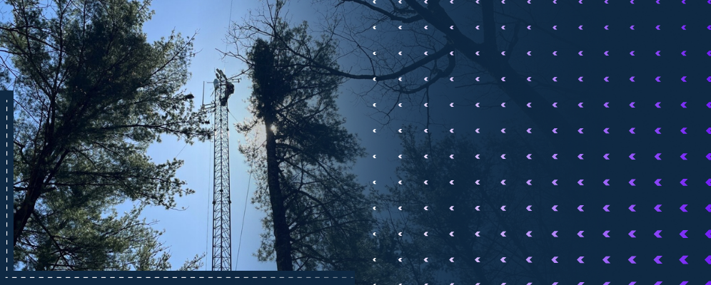 Flux tower framed by trees with points of data overlaying the image.