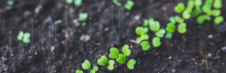 Celebrating our 2026 ESIP Award Winners