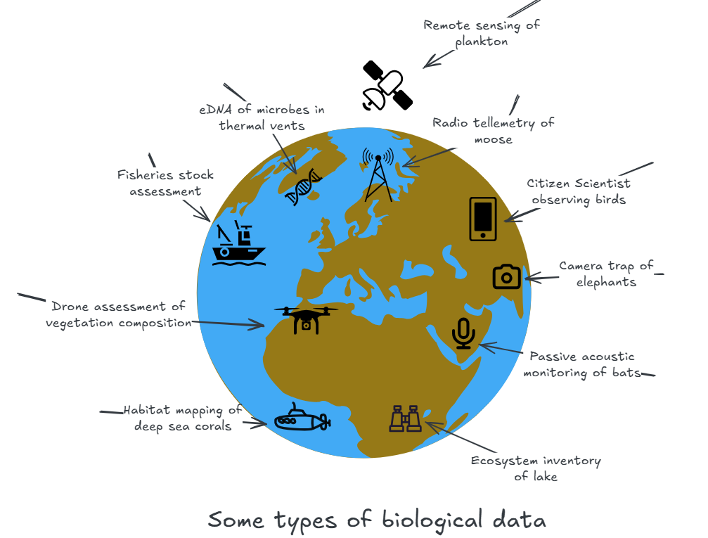 An illustration of some of the many types of biological data that are typically created to observe ecosystems on plante Earth.